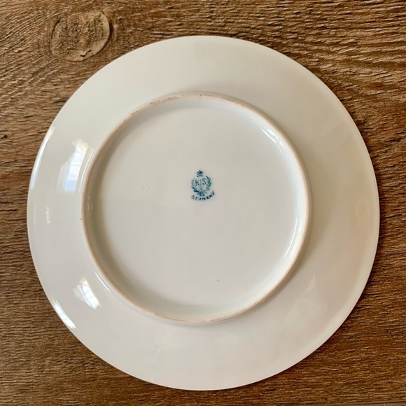 RS Prussia German Hand painted plate Germany 6.5” - Picture 4 of 7